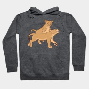 Playful Felines Hoodie